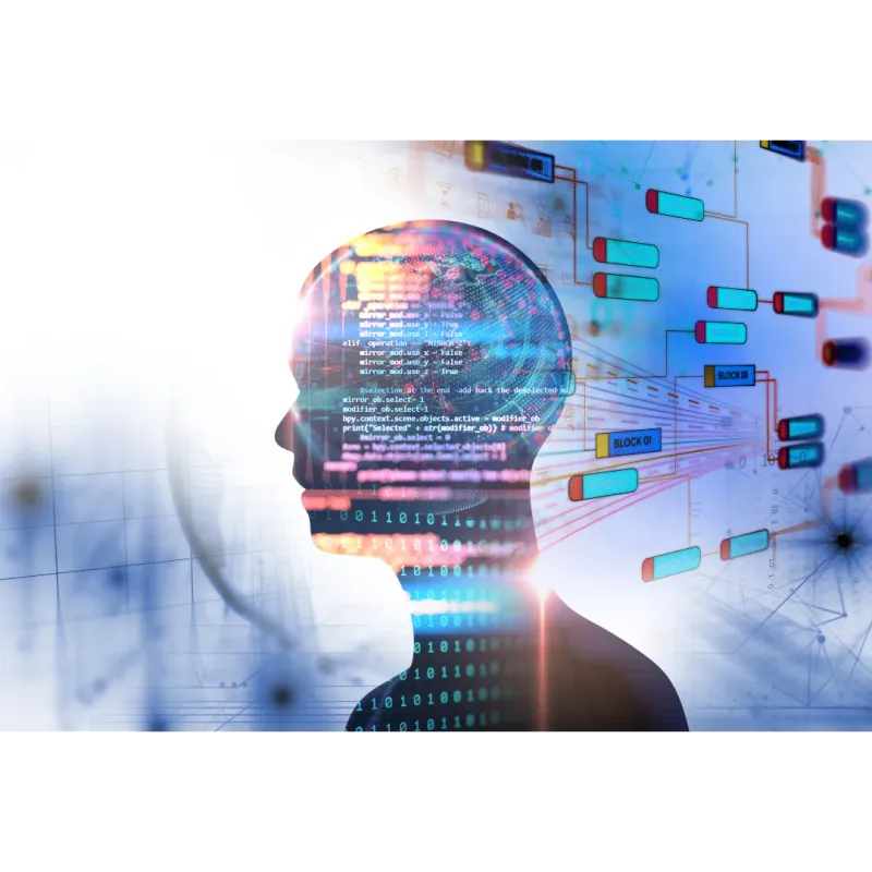 Offshoring Software Development
